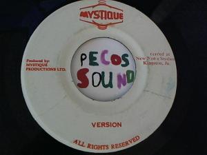 Hud-2 vinyl photos 4878