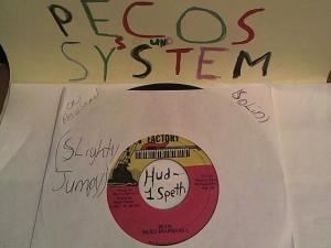 Hud-2 vinyl photos 489