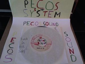 Hud-2 vinyl photos 4995