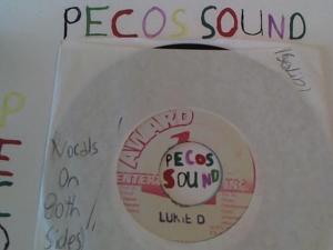 Hud-2 vinyl photos 4997