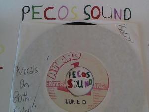 Hud-2 vinyl photos 4998