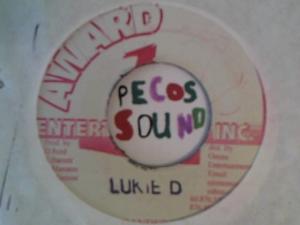 Hud-2 vinyl photos 5000