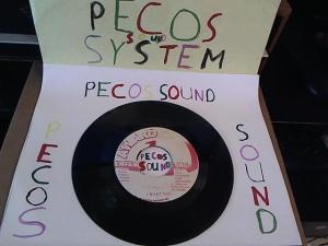 Hud-2 vinyl photos 5001