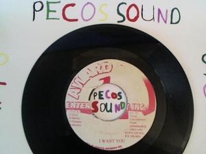 Hud-2 vinyl photos 5003