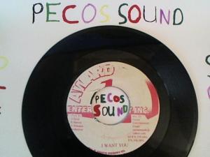 Hud-2 vinyl photos 5004