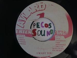 Hud-2 vinyl photos 5007