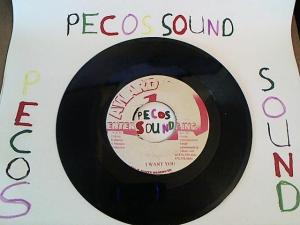 Hud-2 vinyl photos 5009