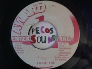 Hud-2 vinyl photos 5010