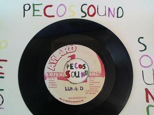 Hud-2 vinyl photos 5012