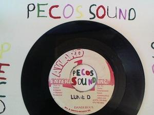 Hud-2 vinyl photos 5013