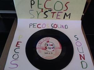 Hud-2 vinyl photos 5014