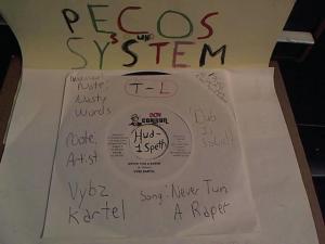 Hud-2 vinyl photos 505