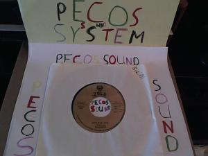 Hud-2 vinyl photos 5061