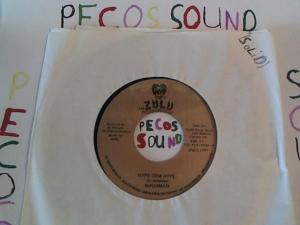 Hud-2 vinyl photos 5062