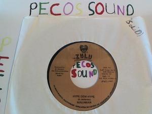 Hud-2 vinyl photos 5064