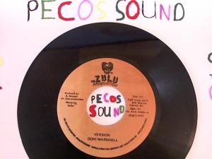 Hud-2 vinyl photos 5072