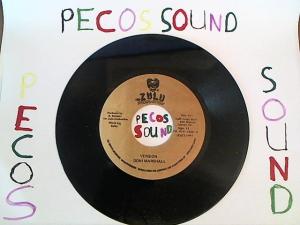 Hud-2 vinyl photos 5073