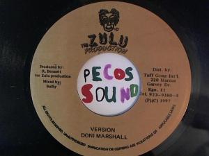 Hud-2 vinyl photos 5074