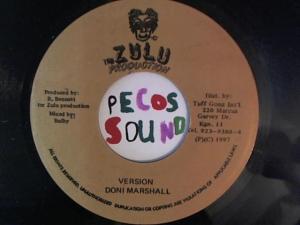 Hud-2 vinyl photos 5076