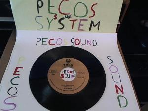 Hud-2 vinyl photos 5077