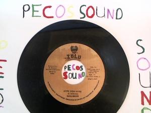 Hud-2 vinyl photos 5078