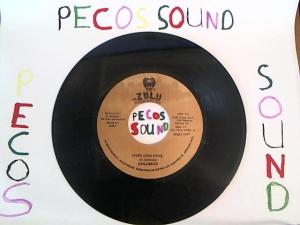 Hud-2 vinyl photos 5079