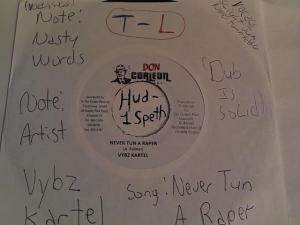 Hud-2 vinyl photos 508