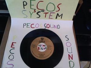 Hud-2 vinyl photos 5080