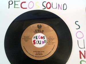 Hud-2 vinyl photos 5083