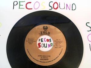 Hud-2 vinyl photos 5087