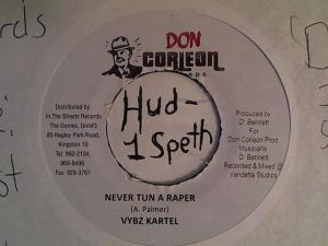 Hud-2 vinyl photos 511