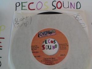 Hud-2 vinyl photos 5113