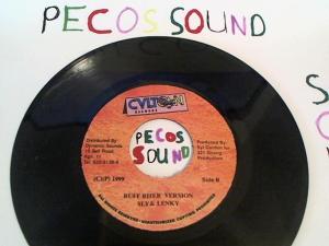 Hud-2 vinyl photos 5121