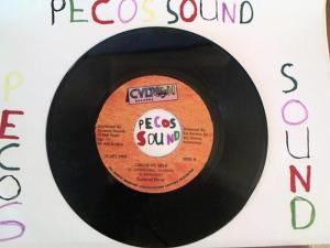 Hud-2 vinyl photos 5127