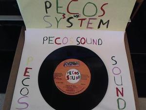 Hud-2 vinyl photos 5129