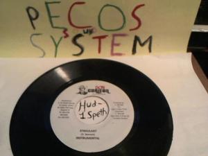 Hud-2 vinyl photos 515