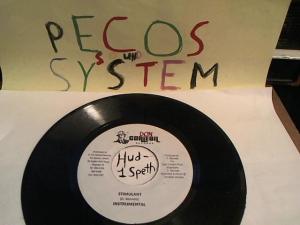 Hud-2 vinyl photos 516