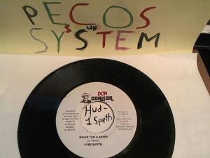 Hud-2 vinyl photos 519