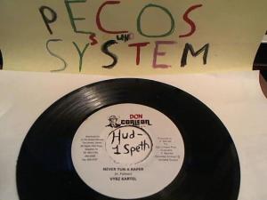 Hud-2 vinyl photos 522