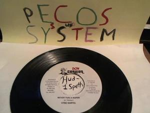 Hud-2 vinyl photos 523