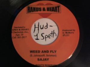 Hud-2 vinyl photos 535