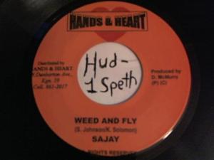 Hud-2 vinyl photos 536