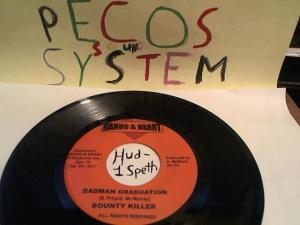 Hud-2 vinyl photos 541