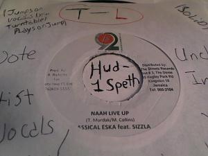 Hud-2 vinyl photos 587