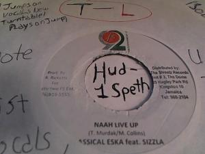 Hud-2 vinyl photos 588