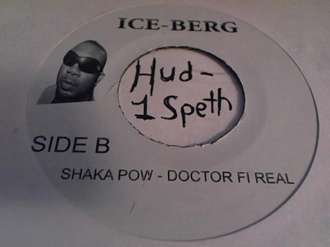 Hud-2 vinyl photos 597