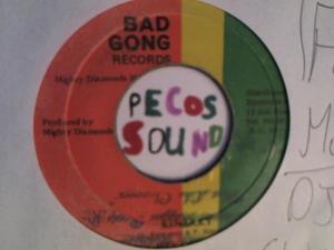 Hud-2 vinyl photos 6144