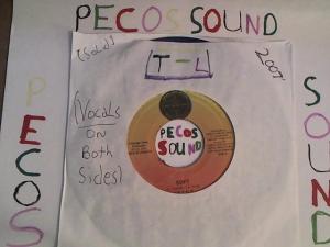 Hud-2 vinyl photos 6200