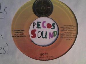 Hud-2 vinyl photos 6202