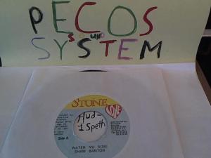 Hud-2 vinyl photos 627